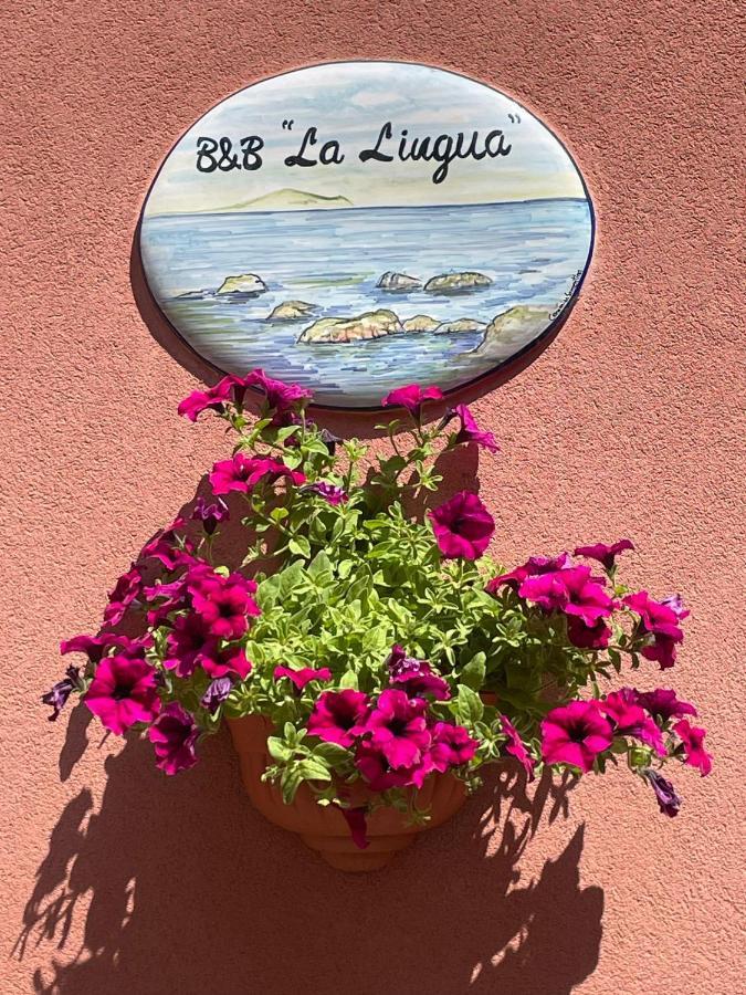 B&B La Lingua Procida Eksteriør billede